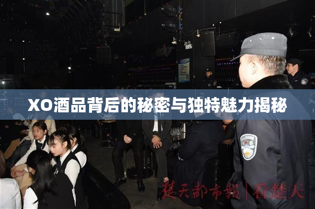 XO酒品背后的秘密与独特魅力揭秘