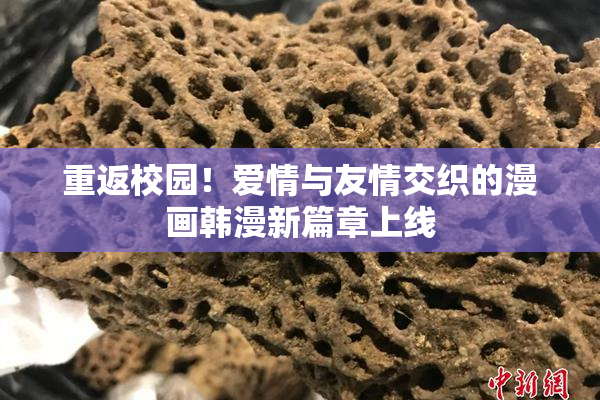 重返校园！爱情与友情交织的漫画韩漫新篇章上线