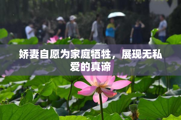 娇妻自愿为家庭牺牲，展现无私爱的真谛