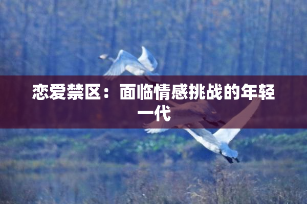 恋爱禁区：面临情感挑战的年轻一代