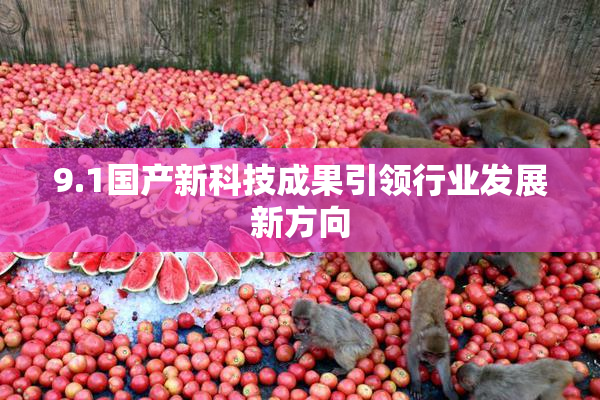 9.1国产新科技成果引领行业发展新方向
