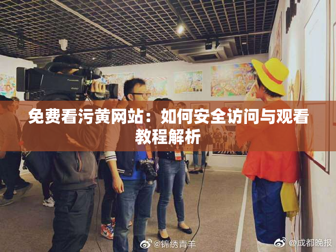 免费看污黄网站：如何安全访问与观看教程解析