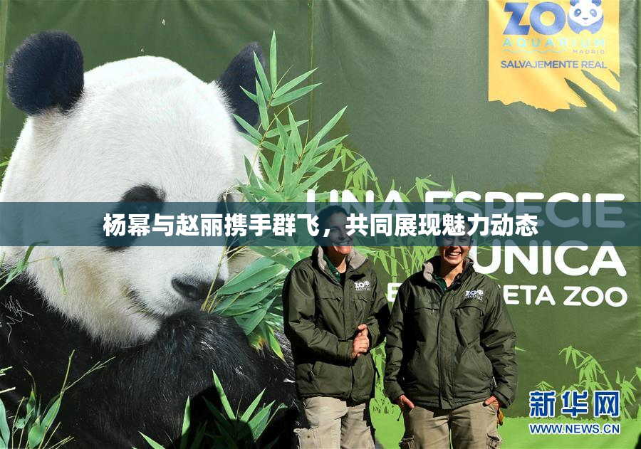 杨幂与赵丽携手群飞，共同展现魅力动态