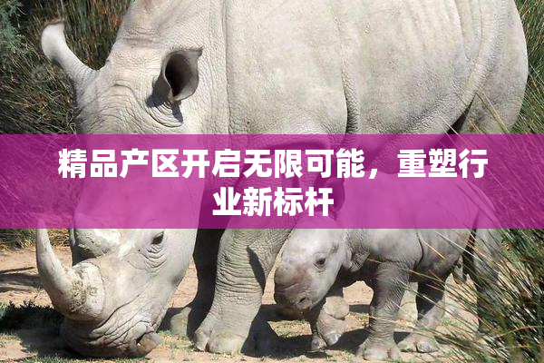 精品产区开启无限可能，重塑行业新标杆