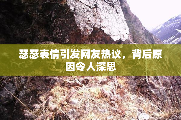瑟瑟表情引发网友热议，背后原因令人深思