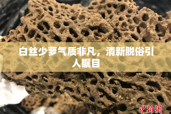 白丝少萝气质非凡，清新脱俗引人瞩目