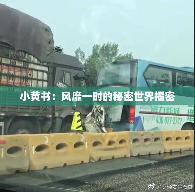 小黄书：风靡一时的秘密世界揭密