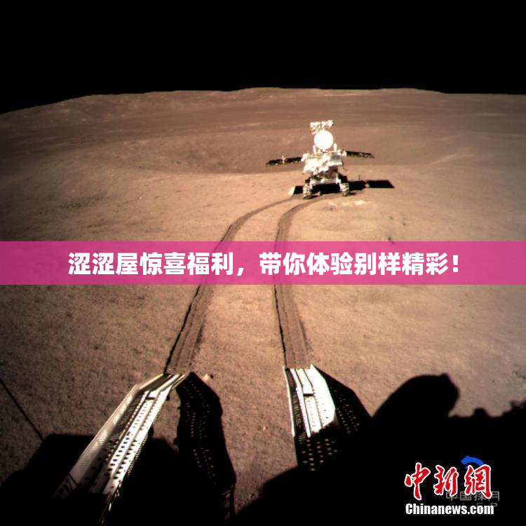 涩涩屋惊喜福利，带你体验别样精彩！
