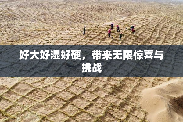 好大好湿好硬，带来无限惊喜与挑战