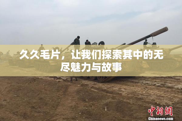 久久毛片，让我们探索其中的无尽魅力与故事