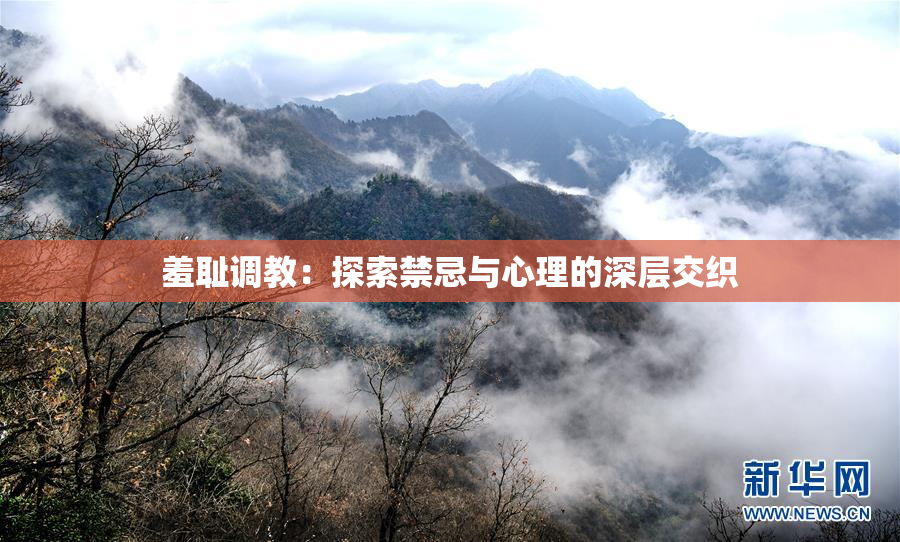 羞耻调教：探索禁忌与心理的深层交织