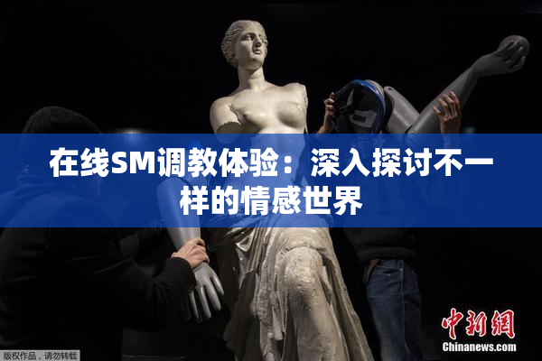 在线SM调教体验：深入探讨不一样的情感世界
