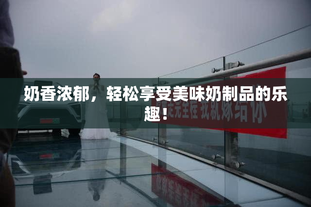 奶香浓郁，轻松享受美味奶制品的乐趣！
