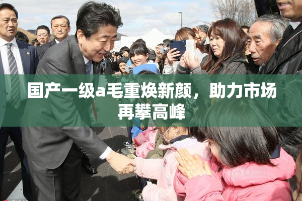 国产一级a毛重焕新颜，助力市场再攀高峰