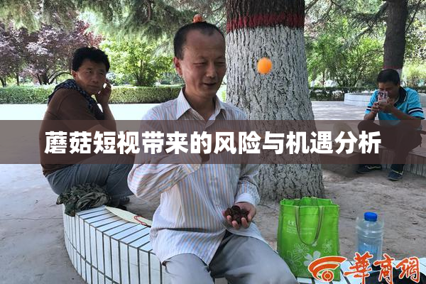 蘑菇短视带来的风险与机遇分析