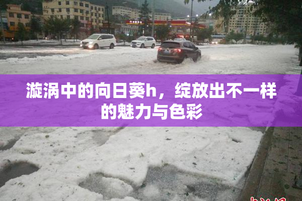 漩涡中的向日葵h，绽放出不一样的魅力与色彩
