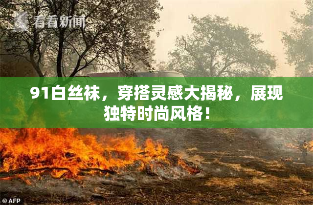 91白丝袜，穿搭灵感大揭秘，展现独特时尚风格！