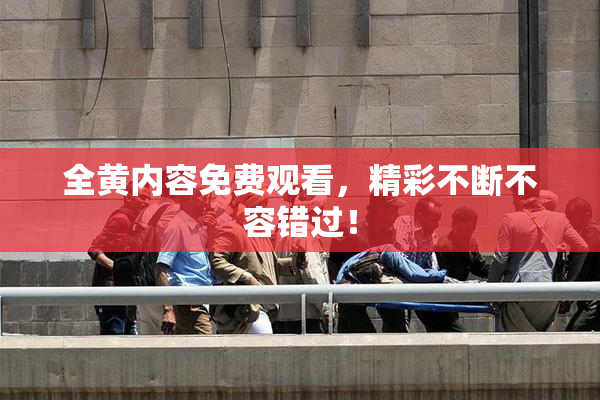 全黄内容免费观看，精彩不断不容错过！