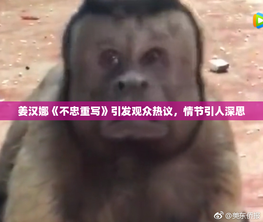 姜汉娜《不忠重写》引发观众热议，情节引人深思