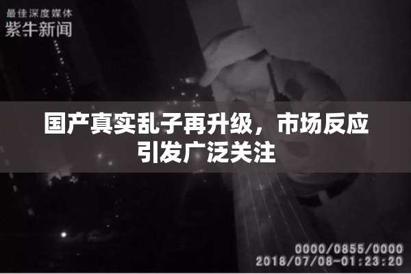 国产真实乱子再升级，市场反应引发广泛关注