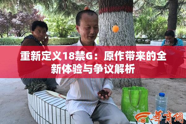 重新定义18禁G：原作带来的全新体验与争议解析