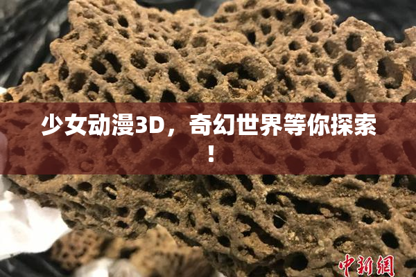 少女动漫3D，奇幻世界等你探索！