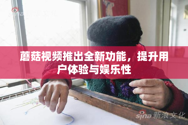 蘑菇视频推出全新功能，提升用户体验与娱乐性
