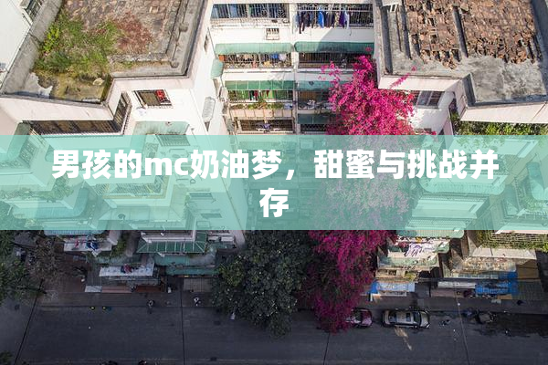 男孩的mc奶油梦，甜蜜与挑战并存