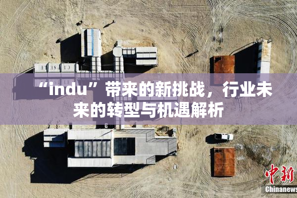 “indu”带来的新挑战，行业未来的转型与机遇解析