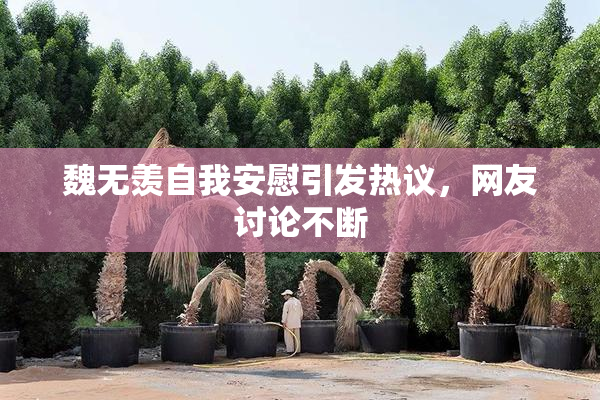 魏无羡自我安慰引发热议，网友讨论不断