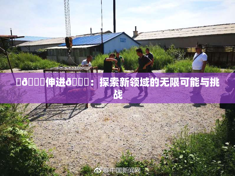 ‌🍌伸进🍑：探索新领域的无限可能与挑战