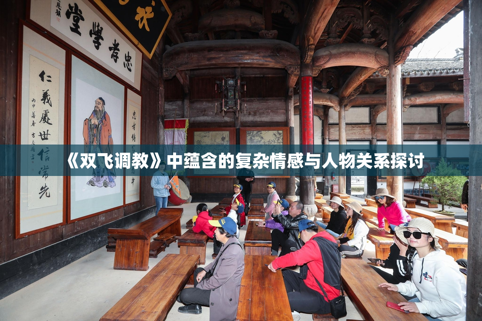 《双飞调教》中蕴含的复杂情感与人物关系探讨