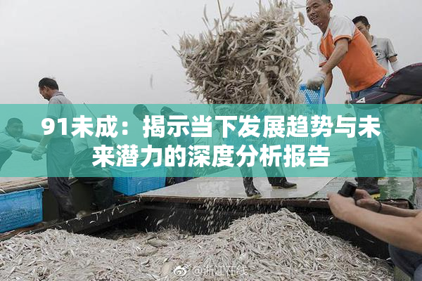 91未成：揭示当下发展趋势与未来潜力的深度分析报告