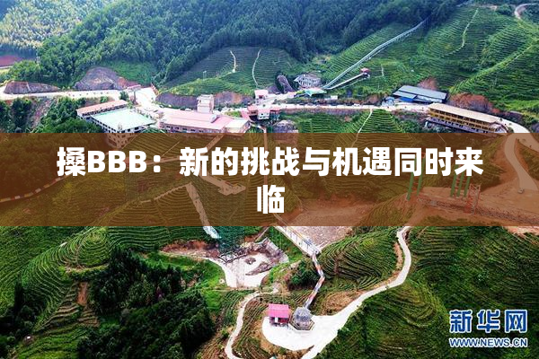 搡BBB：新的挑战与机遇同时来临
