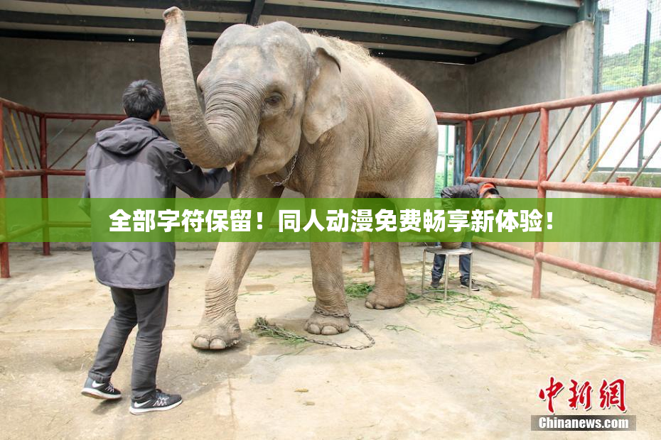 全部字符保留！同人动漫免费畅享新体验！