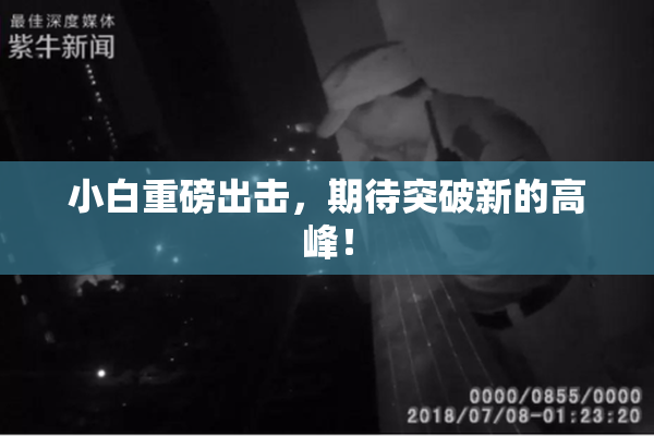 小白重磅出击，期待突破新的高峰！