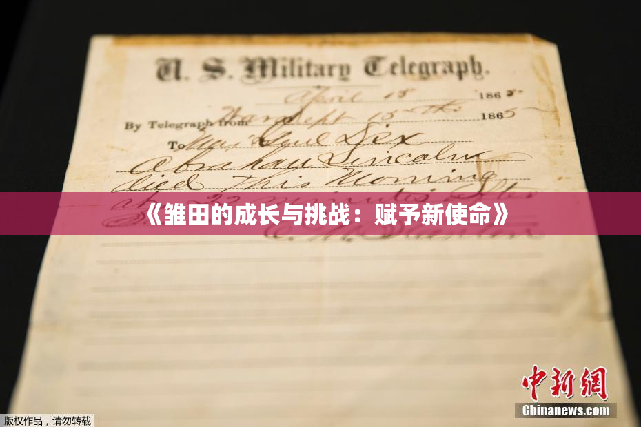《雏田的成长与挑战：赋予新使命》