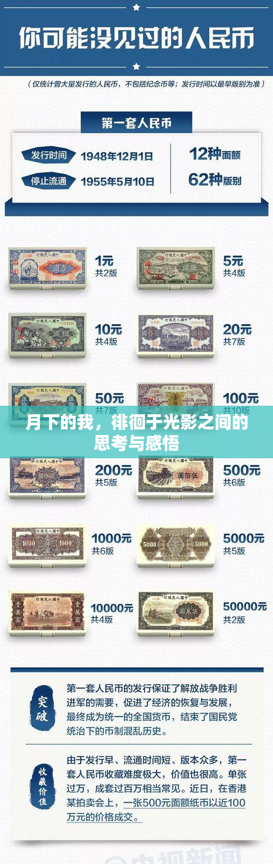 月下的我，徘徊于光影之间的思考与感悟