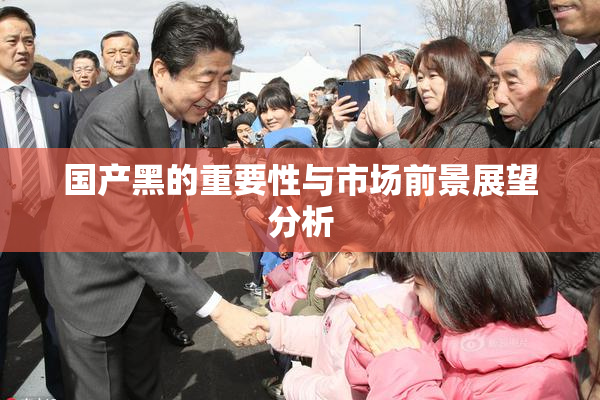 国产黑的重要性与市场前景展望分析