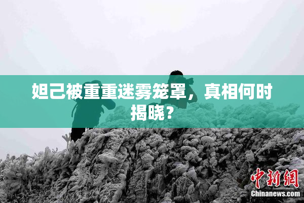 妲己被重重迷雾笼罩，真相何时揭晓？