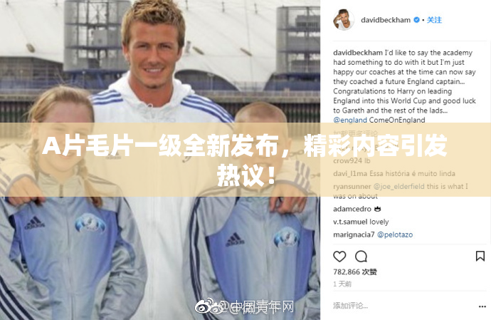 A片毛片一级全新发布，精彩内容引发热议！
