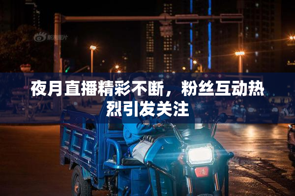 夜月直播精彩不断，粉丝互动热烈引发关注
