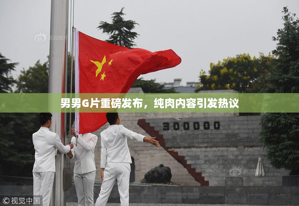 男男G片重磅发布，纯肉内容引发热议