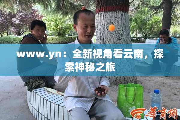 www.yn：全新视角看云南，探索神秘之旅