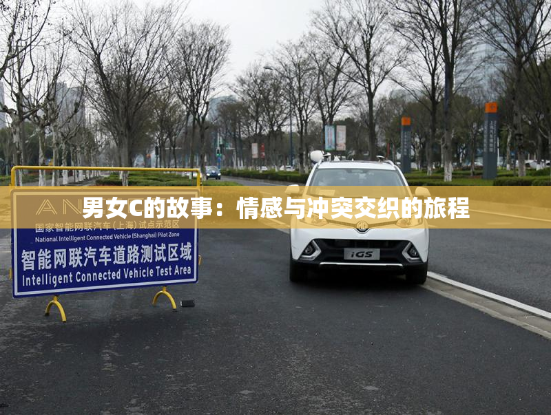 男女C的故事：情感与冲突交织的旅程