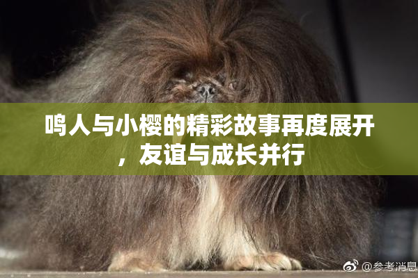 鸣人与小樱的精彩故事再度展开，友谊与成长并行