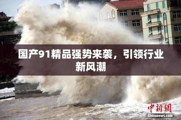 国产91精品强势来袭，引领行业新风潮
