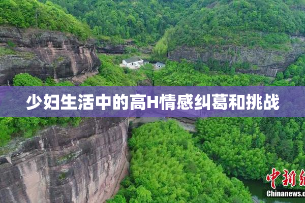 少妇生活中的高H情感纠葛和挑战