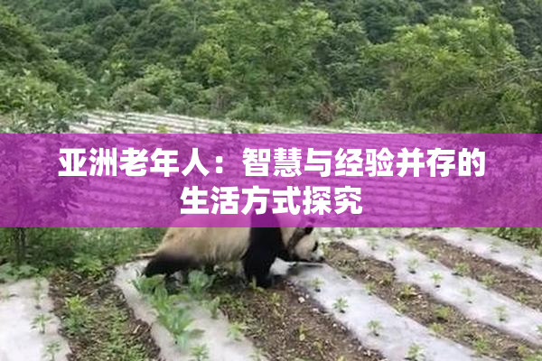 亚洲老年人：智慧与经验并存的生活方式探究