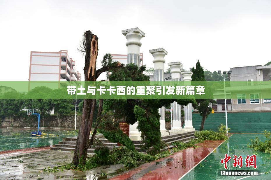 带土与卡卡西的重聚引发新篇章